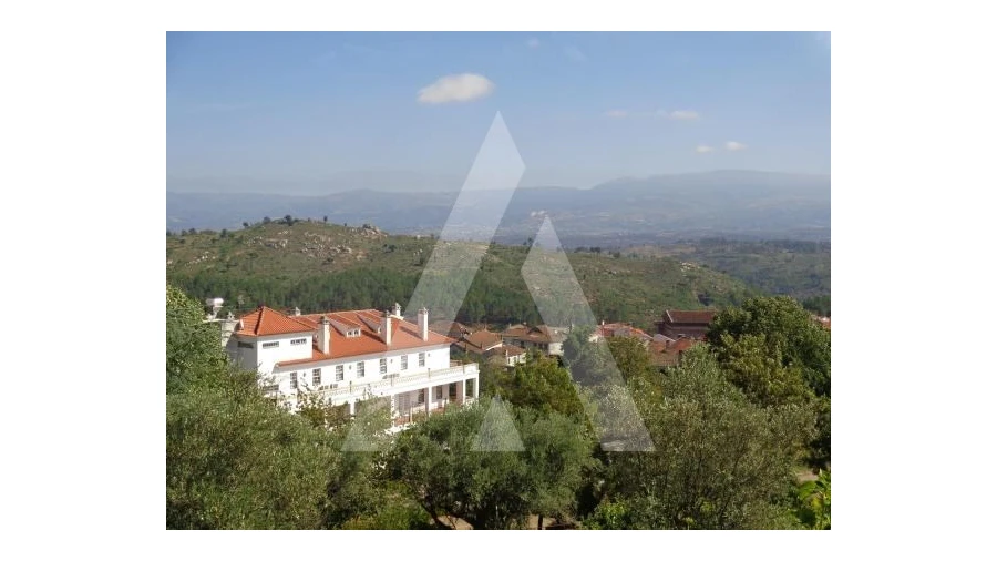 Negócio para Venda em Abrunhosa-A-Velha Foto 49