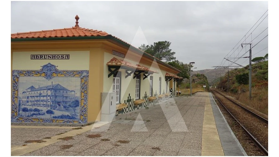 Negócio para Venda em Abrunhosa-A-Velha Foto 52