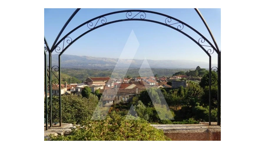 Negócio para Venda em Abrunhosa-A-Velha Foto 51