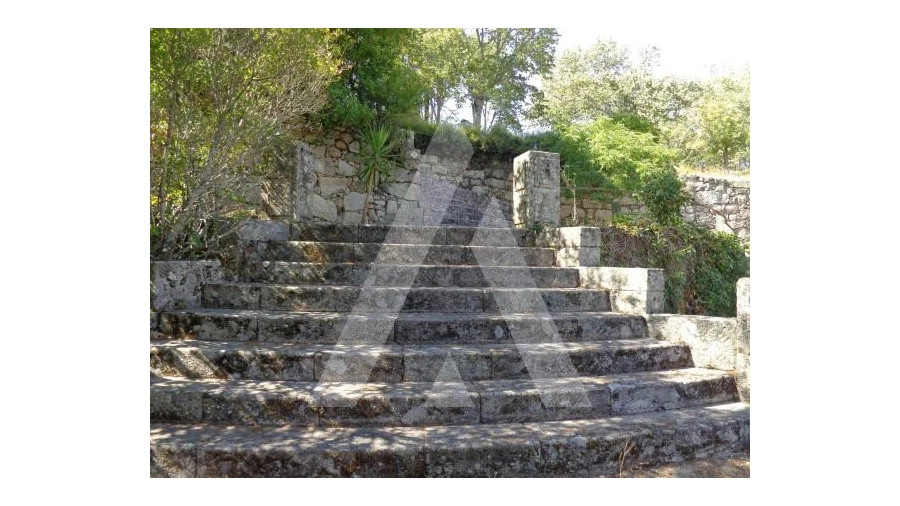 Negócio para Venda em Abrunhosa-A-Velha Foto 50