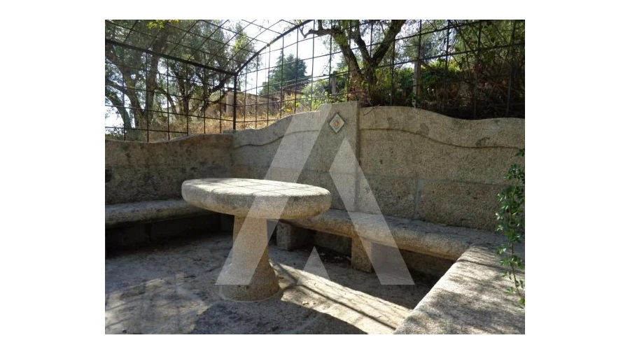 Negócio para Venda em Abrunhosa-A-Velha Foto 54