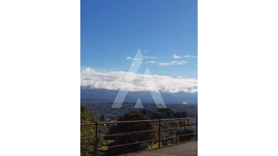 Negócio para Venda em Abrunhosa-A-Velha Foto 63