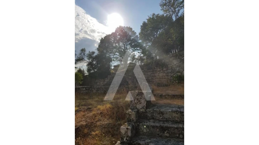 Negócio para Venda em Abrunhosa-A-Velha Foto 61