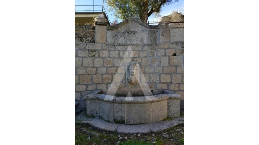 Negócio para Venda em Abrunhosa-A-Velha Foto 55