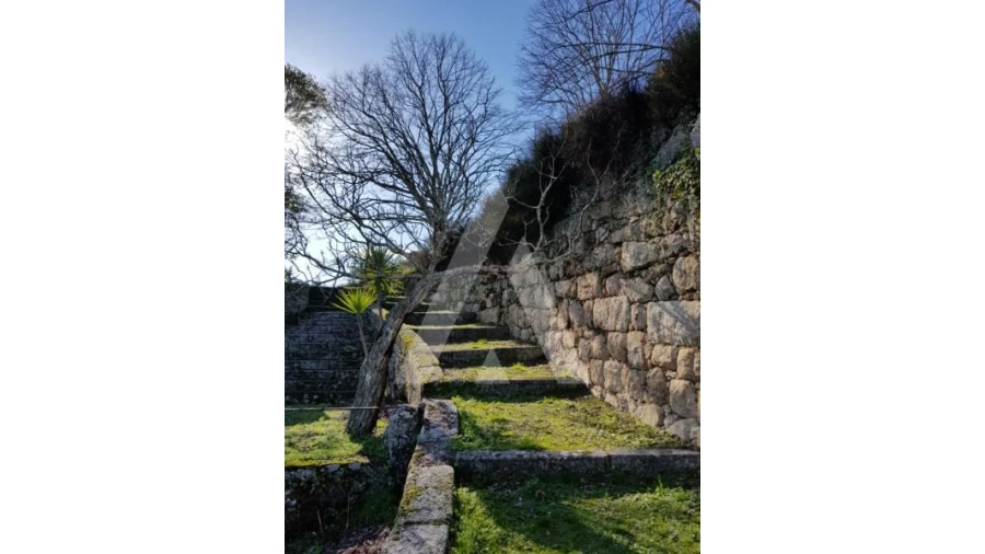Negócio para Venda em Abrunhosa-A-Velha Foto 66