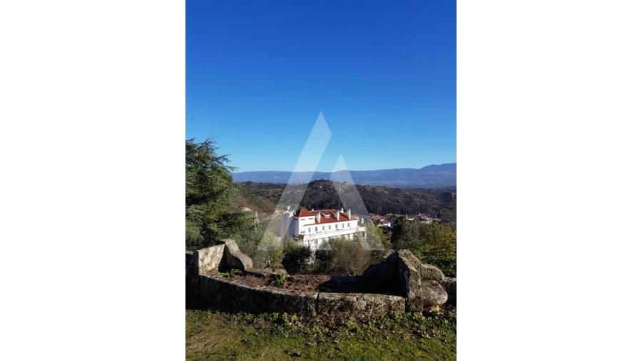 Negócio para Venda em Abrunhosa-A-Velha Foto 64