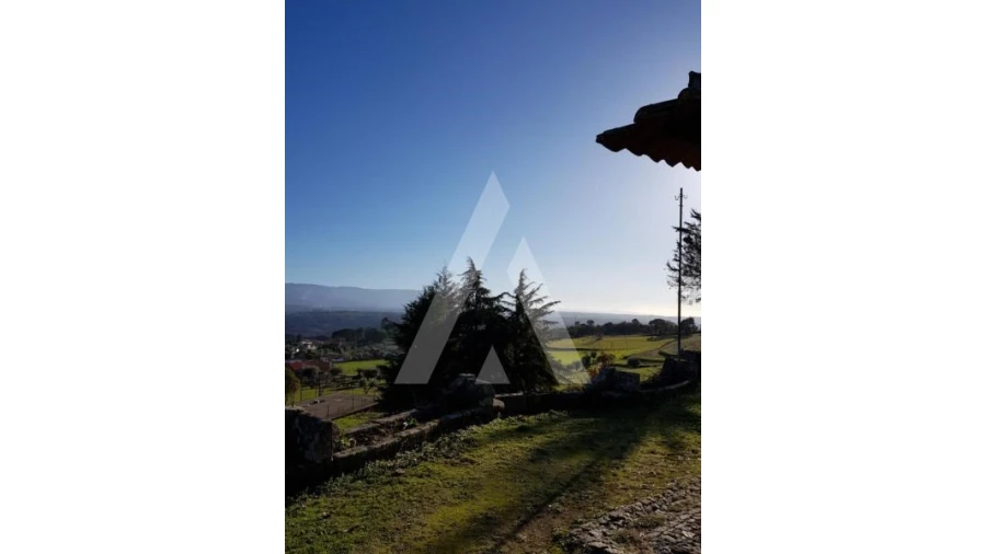 Negócio para Venda em Abrunhosa-A-Velha Foto 65