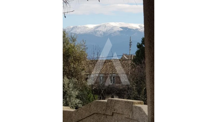 Negócio para Venda em Abrunhosa-A-Velha Foto 56