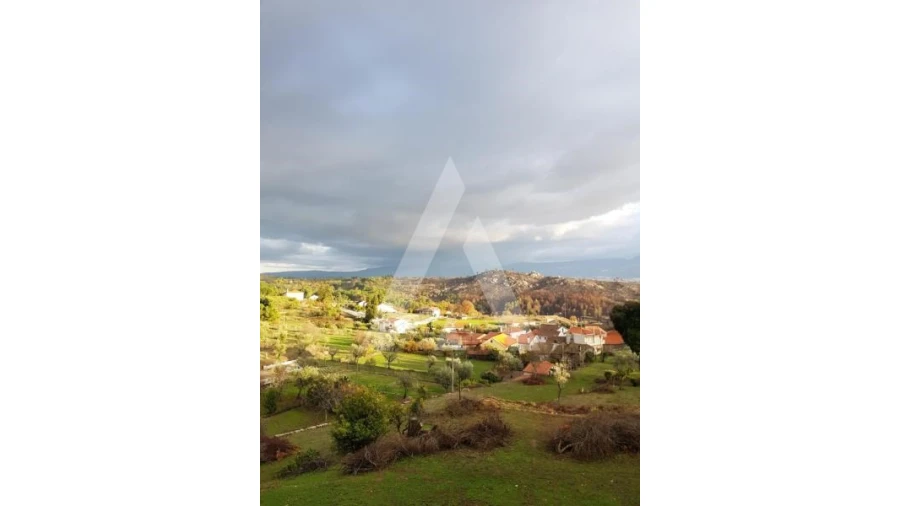 Negócio para Venda em Abrunhosa-A-Velha Foto 67