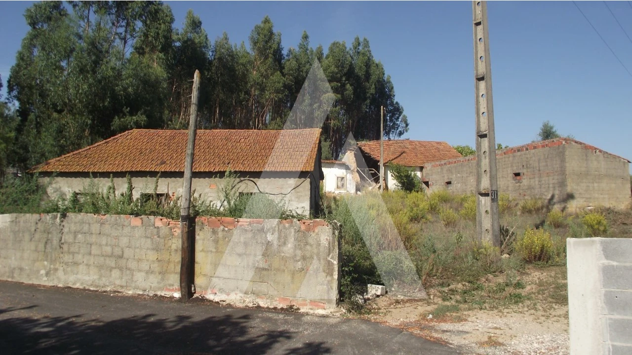 Terreno Misto para Venda em Gançaria Foto 6