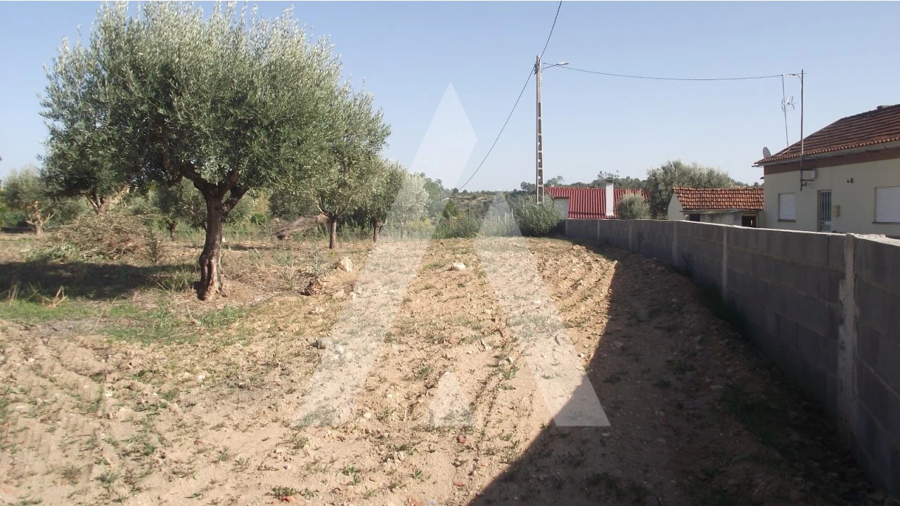 Terreno Misto para Venda em Gançaria Foto 5