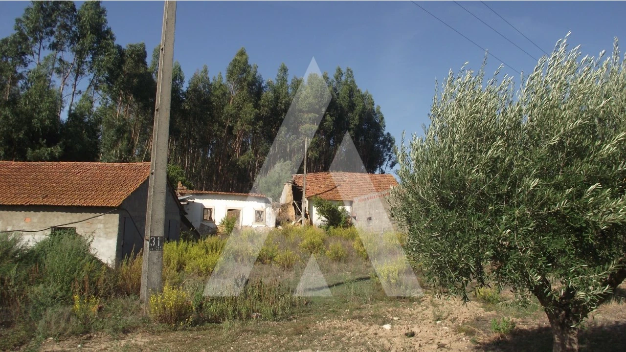 Terreno Misto para Venda em Gançaria Foto 2