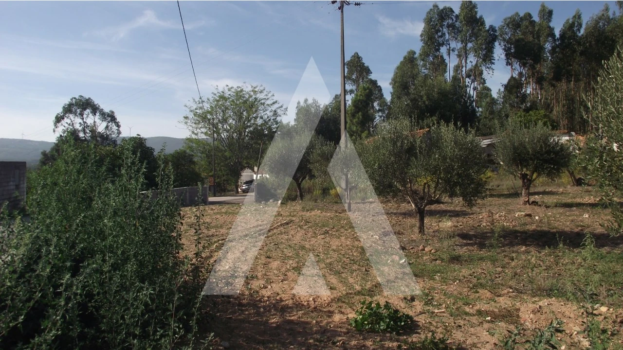 Terreno Misto para Venda em Gançaria Foto 10