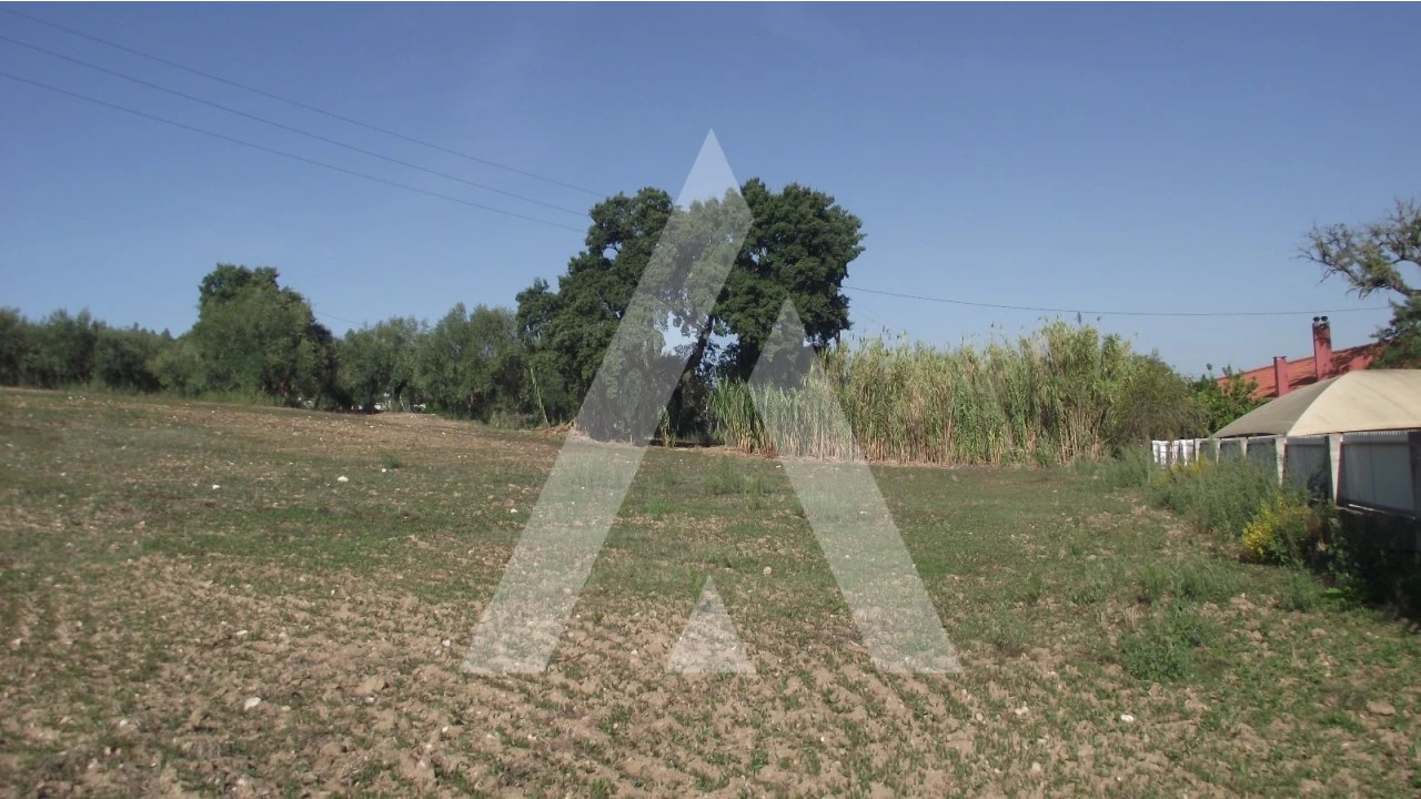 Terreno Misto para Venda em Gançaria Foto 13
