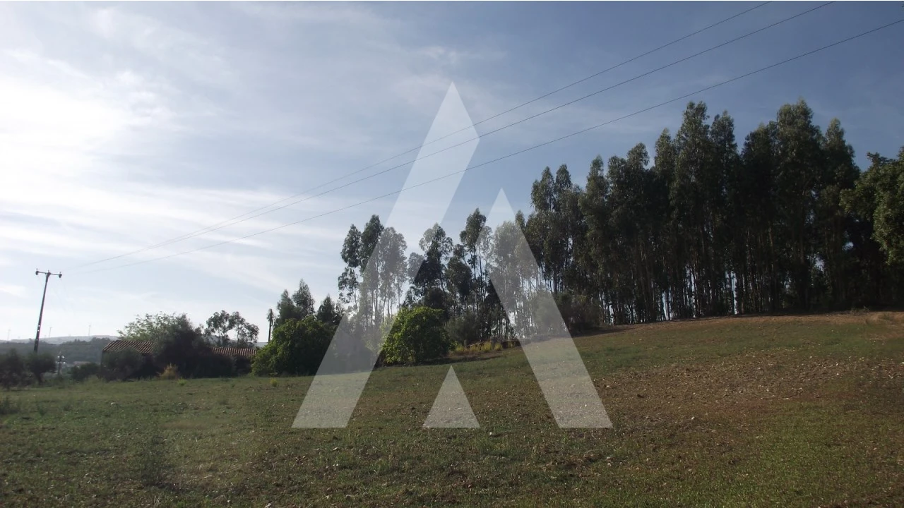 Terreno Misto para Venda em Gançaria Foto 15