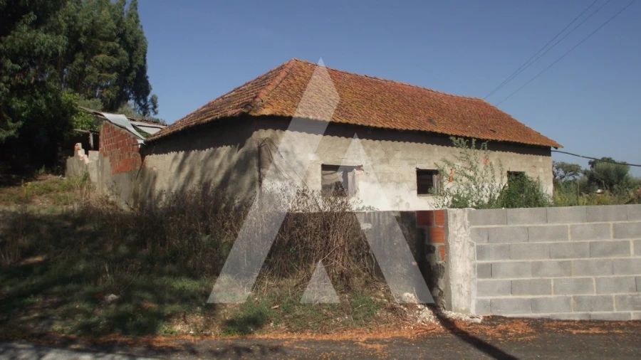 Terreno Misto para Venda em Gançaria Foto 3