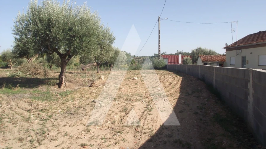 Terreno Misto para Venda em Gançaria Foto 5