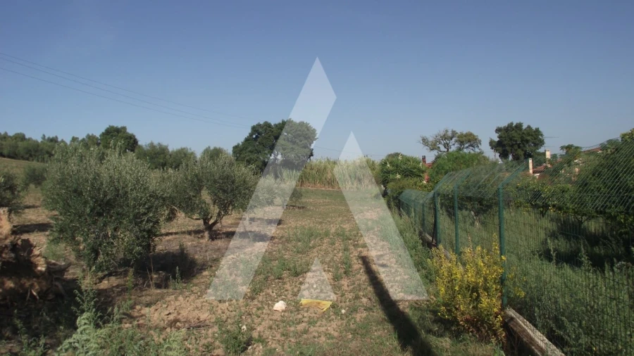 Terreno Misto para Venda em Gançaria Foto 7