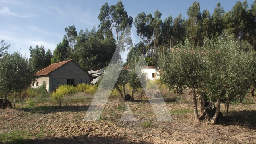 Terreno Misto para Venda em Gançaria