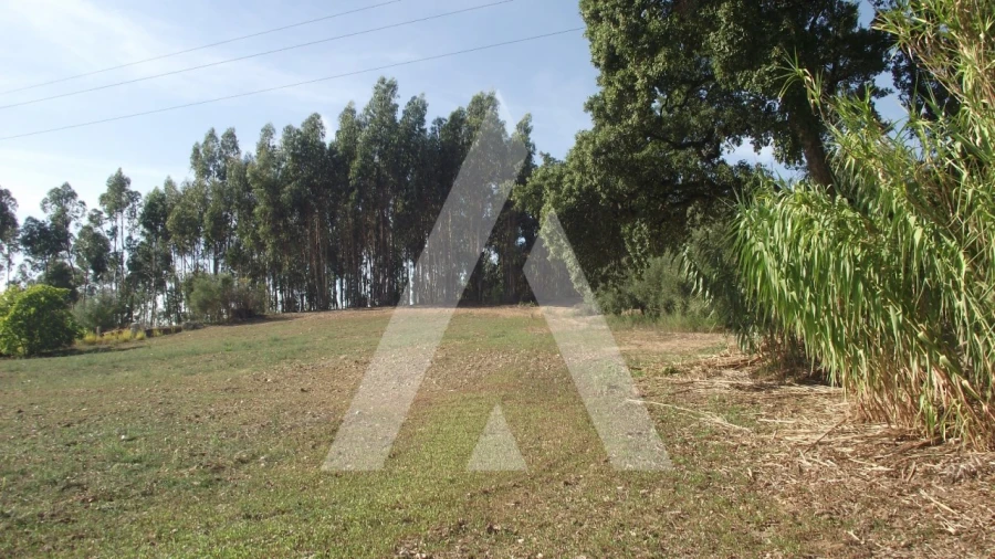 Terreno Misto para Venda em Gançaria Foto 12