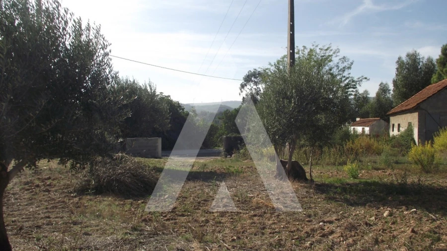 Terreno Misto para Venda em Gançaria Foto 14