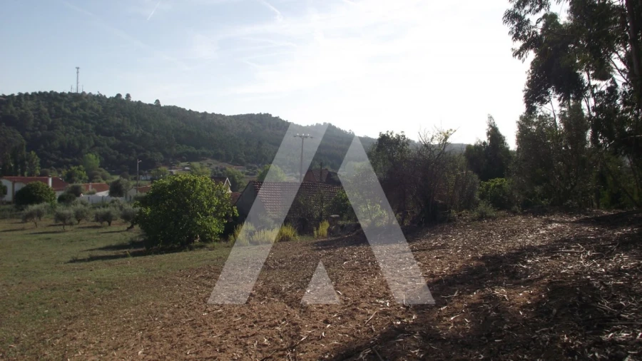 Terreno Misto para Venda em Gançaria Foto 17