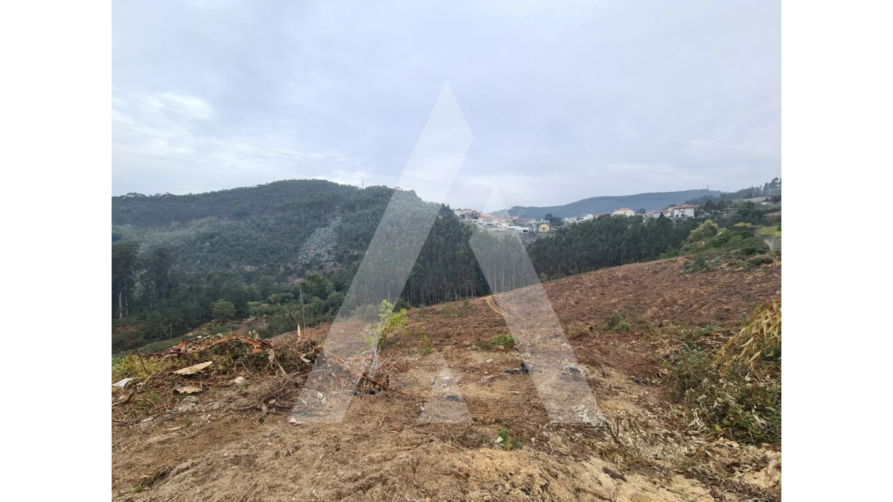 Terreno para Venda em São Pedro de Castelões Foto 5