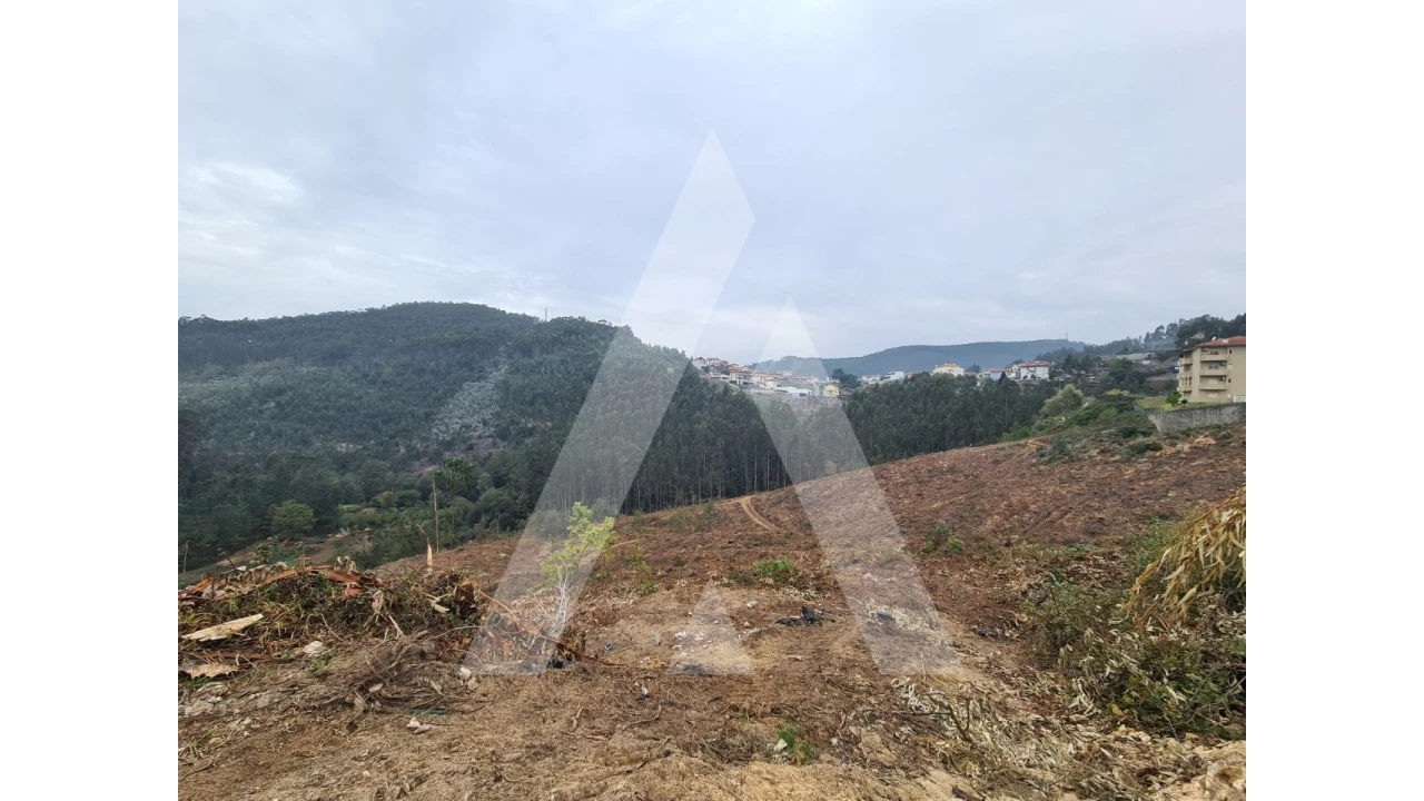 Terreno para Venda em São Pedro de Castelões Foto 6