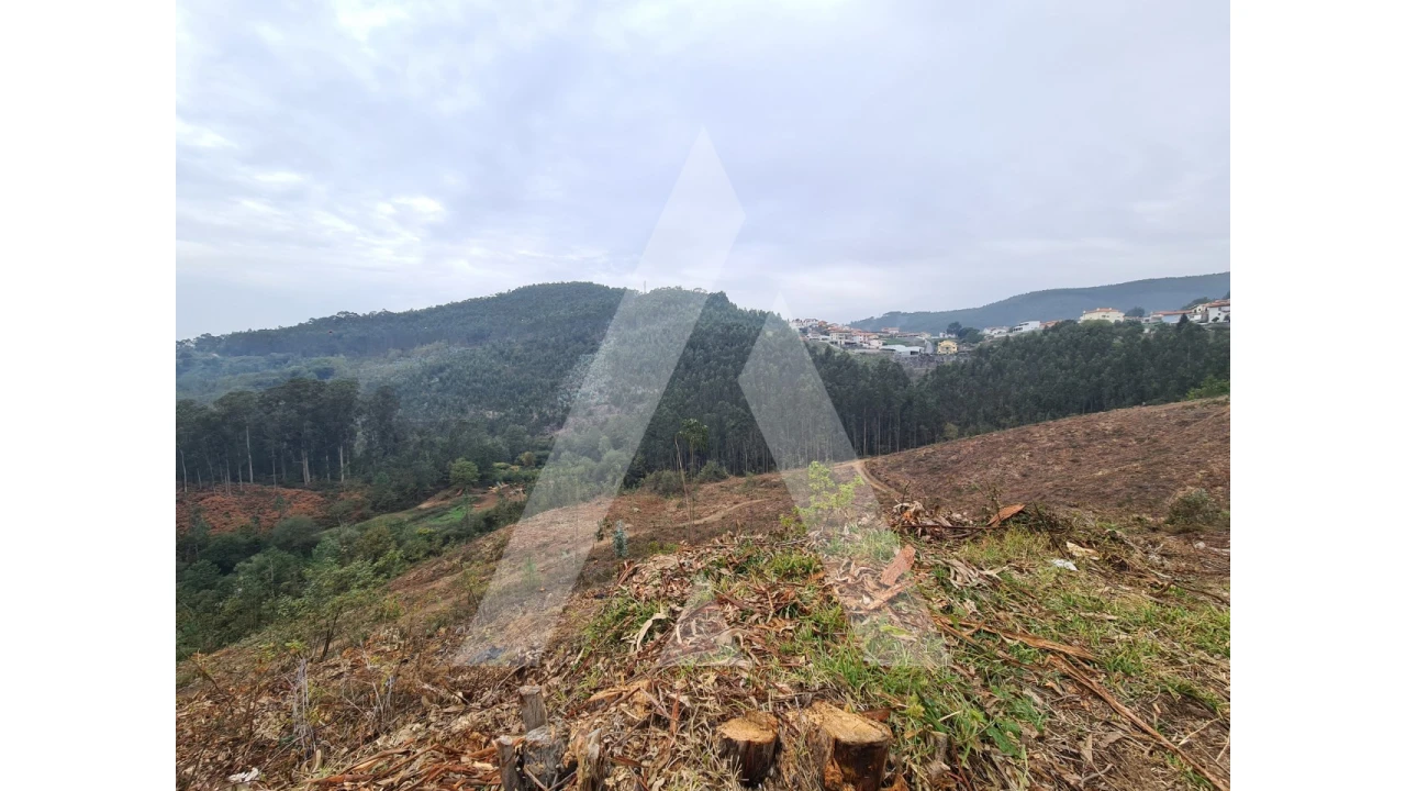 Terreno para Venda em São Pedro de Castelões Foto 7