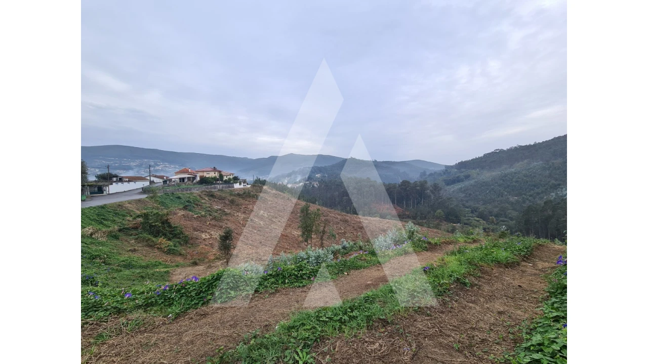 Terreno para Venda em São Pedro de Castelões Foto 3