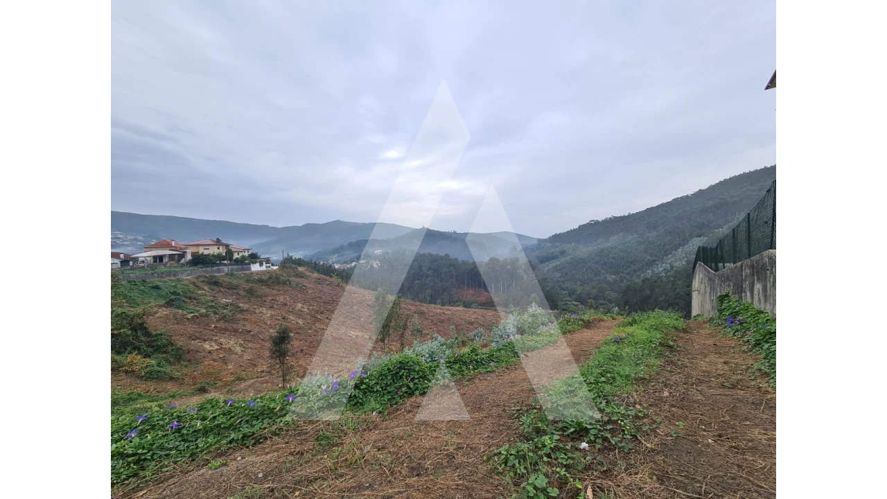 Terreno para Venda em São Pedro de Castelões Foto 8