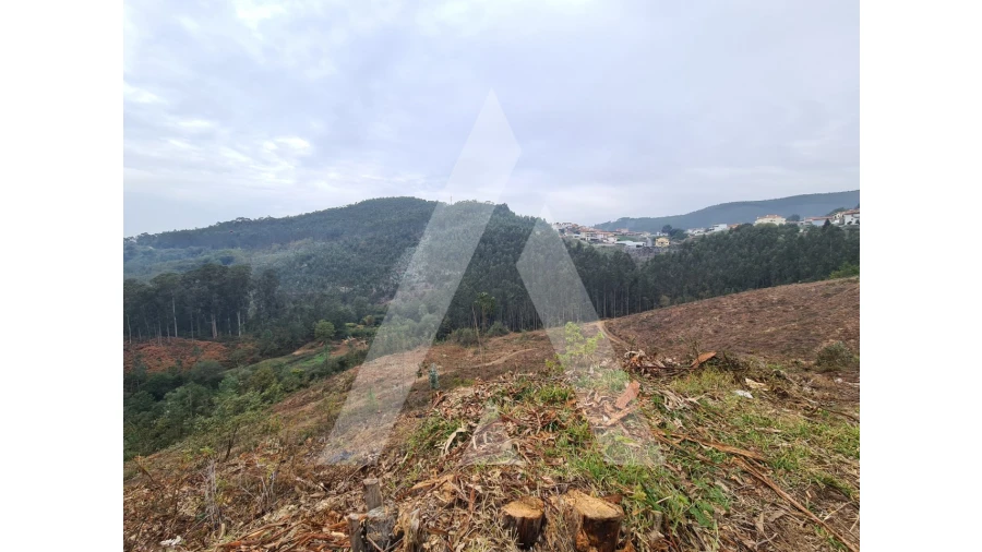 Terreno para Venda em São Pedro de Castelões Foto 7