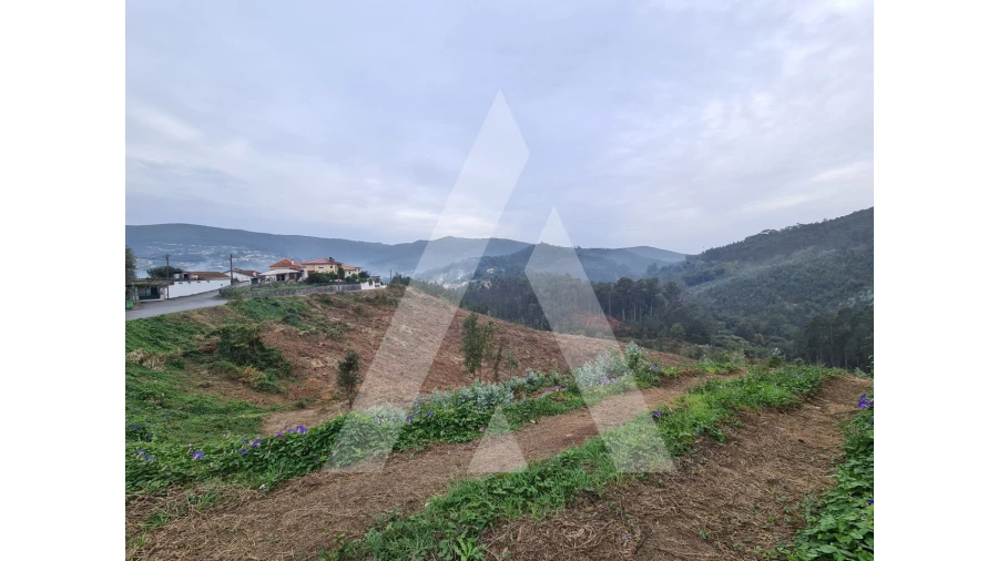 Terreno para Venda em São Pedro de Castelões Foto 3