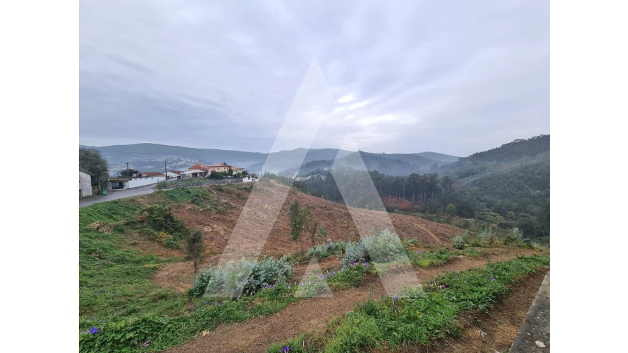 Terreno para Venda em São Pedro de Castelões Foto 4