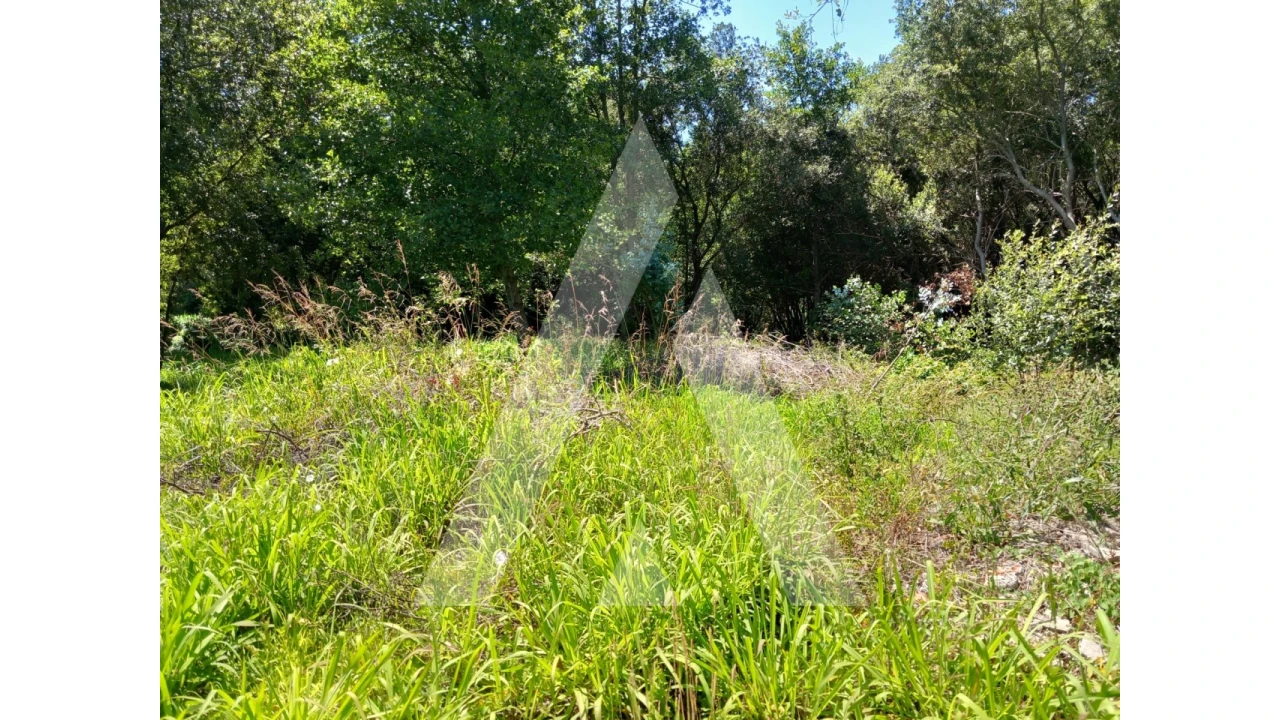 Terreno Agricola ou Rústico para Venda em Murtosa Foto 1