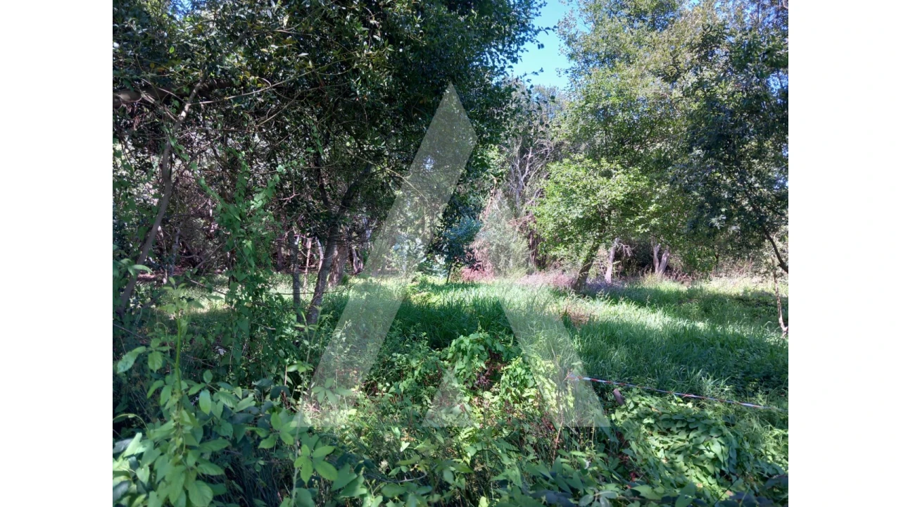 Terreno Agricola ou Rústico para Venda em Murtosa Foto 3