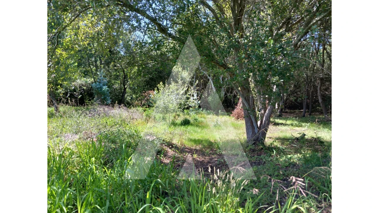 Terreno Agricola ou Rústico para Venda em Murtosa Foto 8