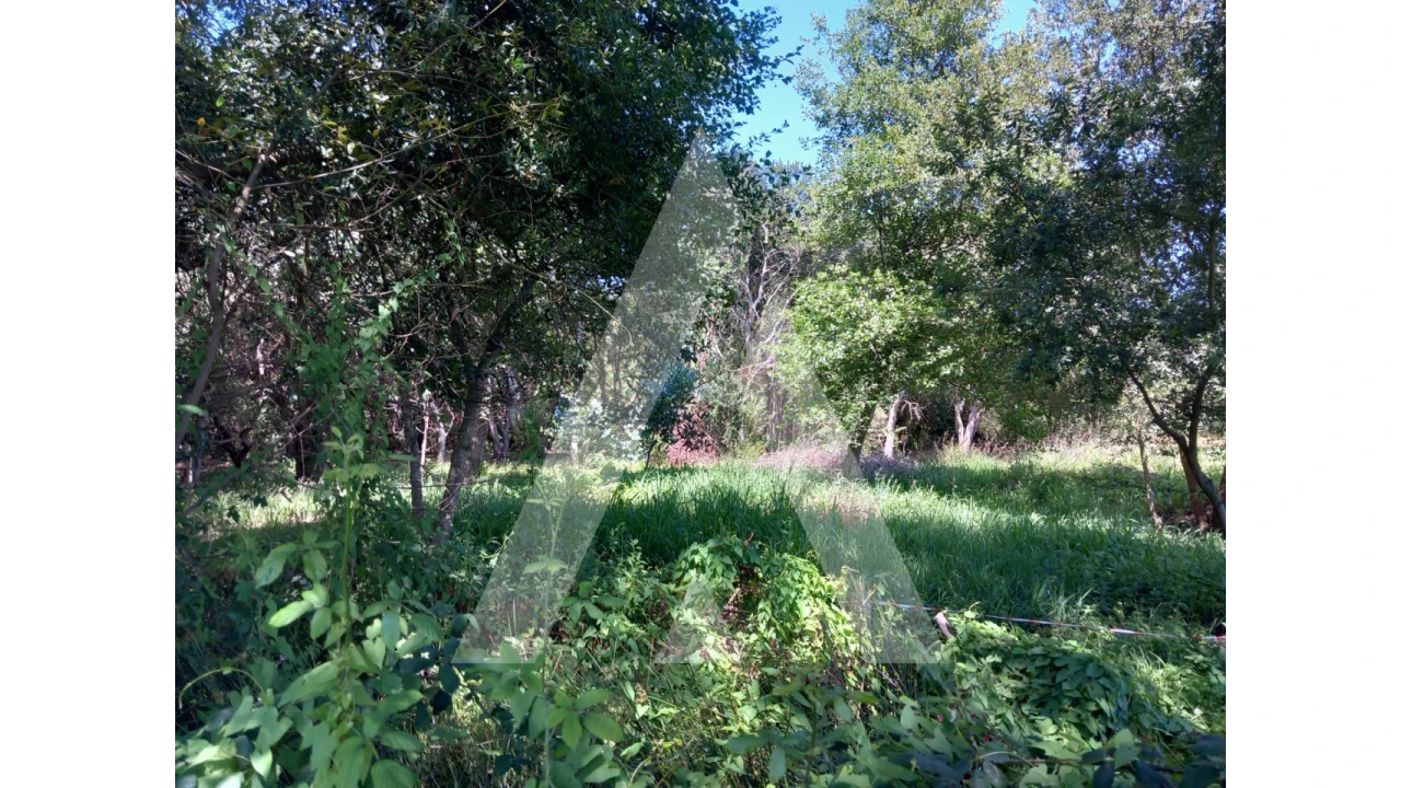 Terreno Agricola ou Rústico para Venda em Murtosa Foto 10