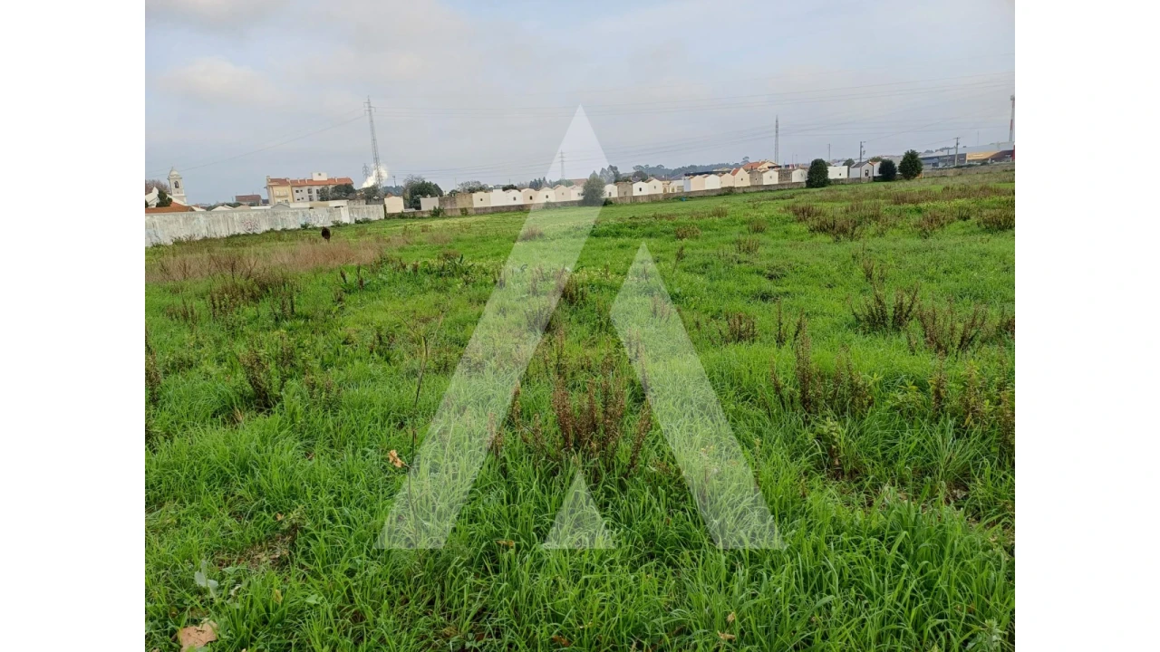 Terreno para Venda em Esgueira Foto 4