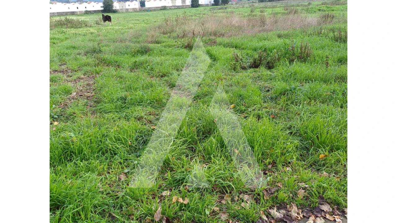Terreno para Venda em Esgueira Foto 2