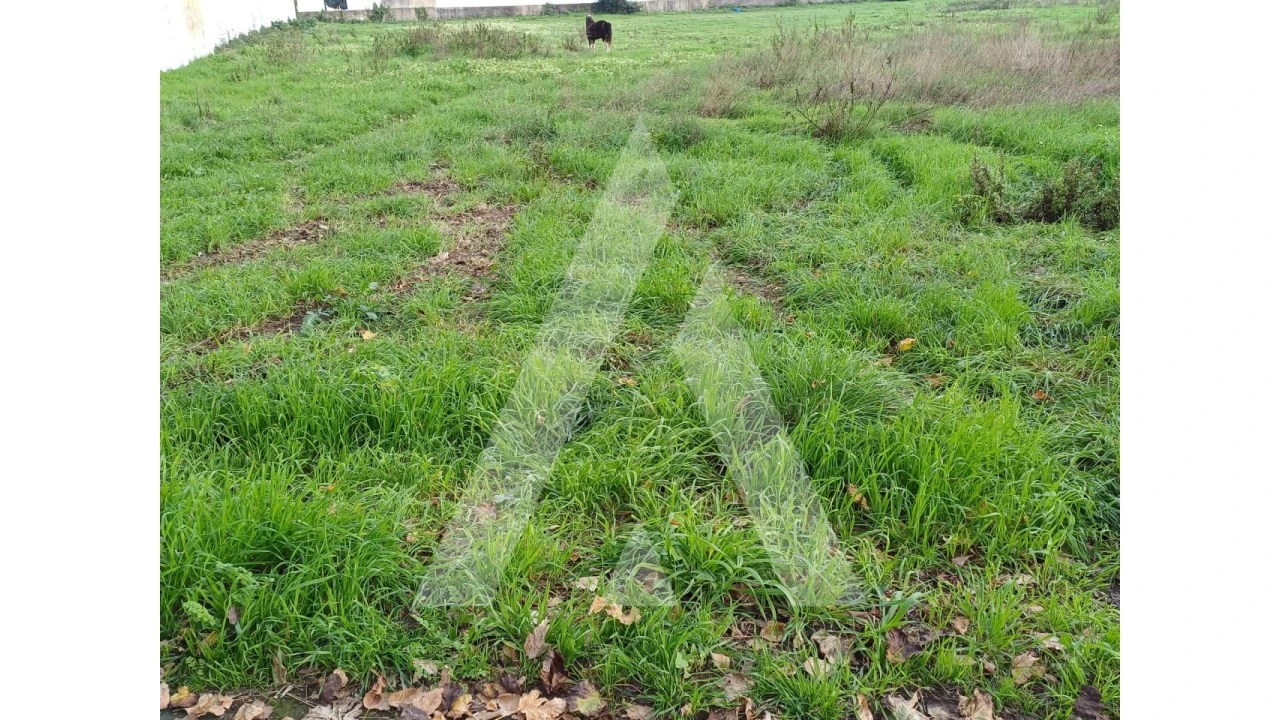 Terreno para Venda em Esgueira Foto 1