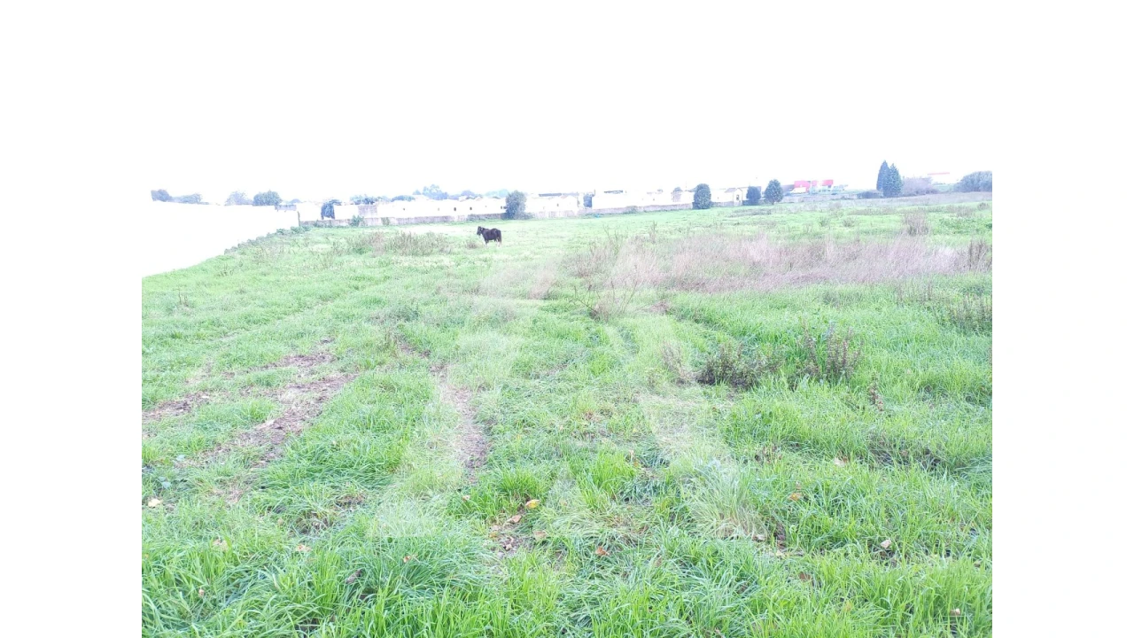 Terreno para Venda em Esgueira Foto 5
