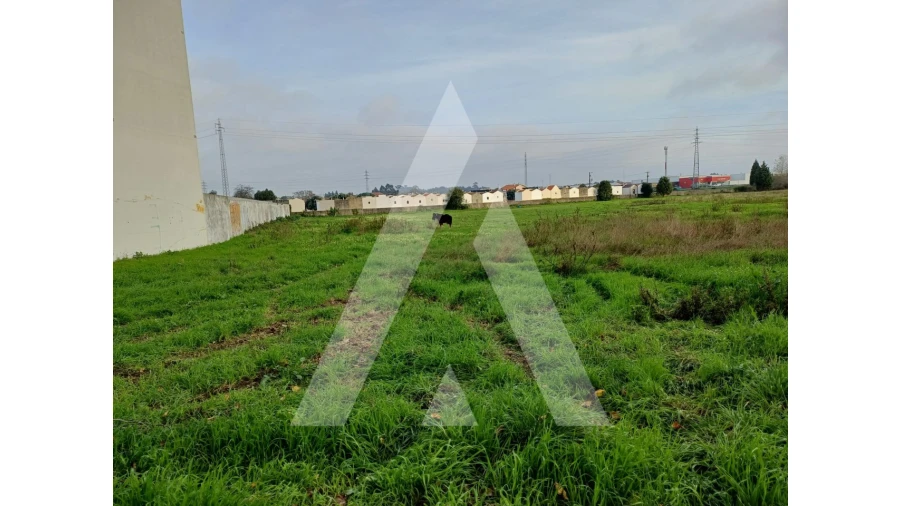 Terreno para Venda em Esgueira Foto 3