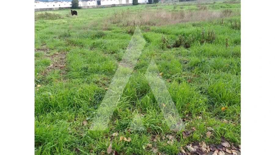 Terreno para Venda em Esgueira Foto 2