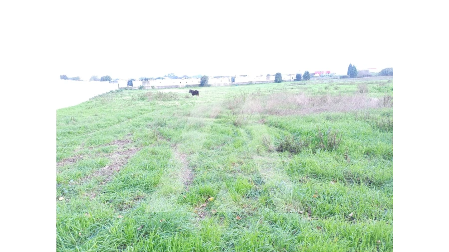 Terreno para Venda em Esgueira Foto 5