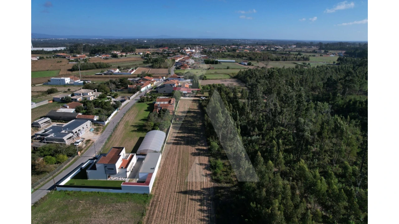 Terreno para Venda em Soza Foto 5