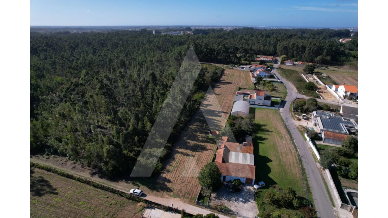 Terreno para Venda em Soza Foto 6