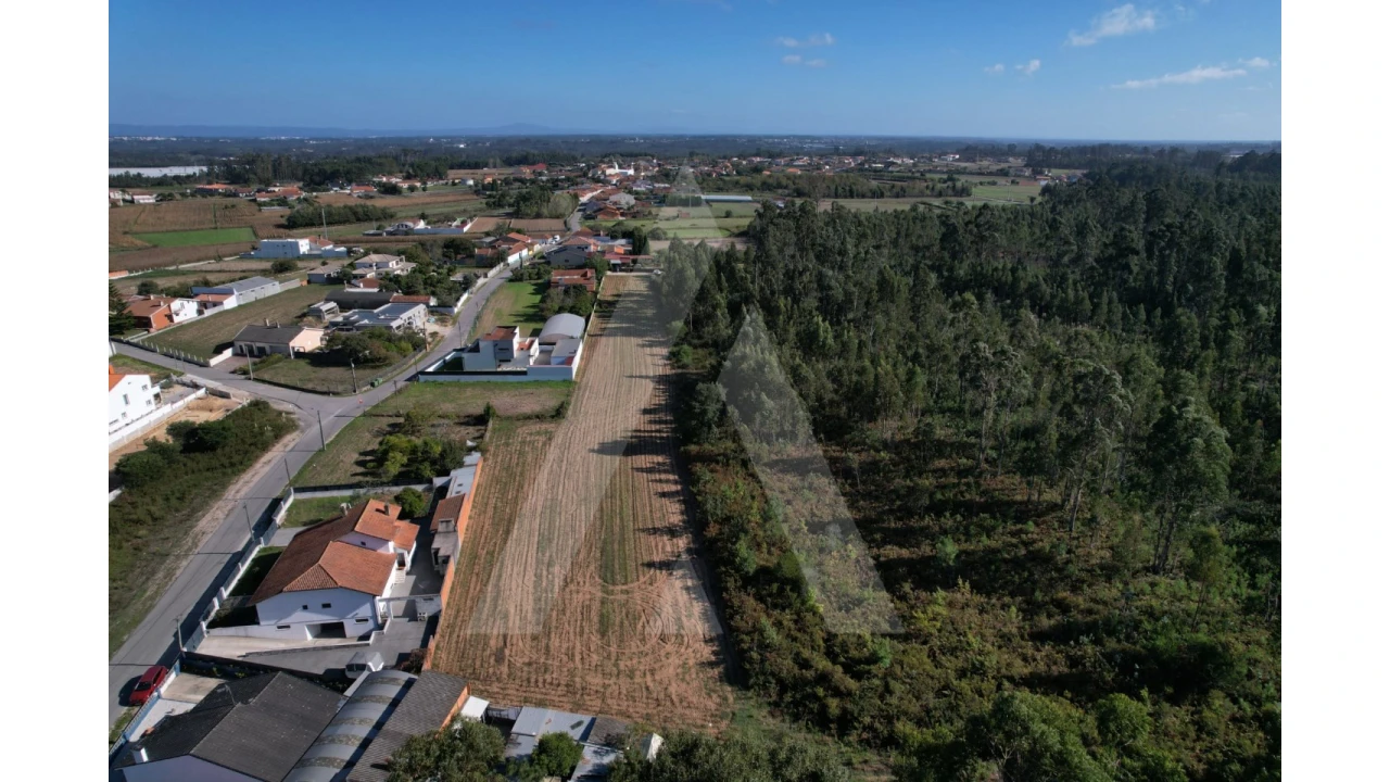 Terreno para Venda em Soza Foto 8