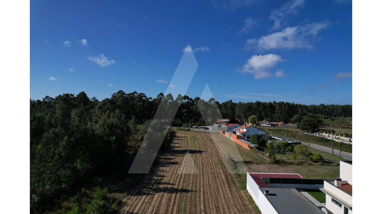 Terreno para Venda em Soza Foto 2