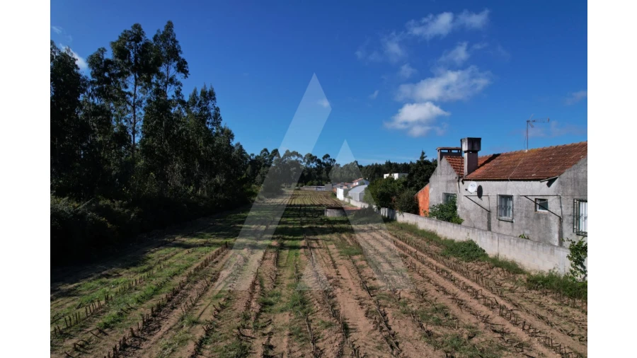 Terreno para Venda em Soza Foto 4